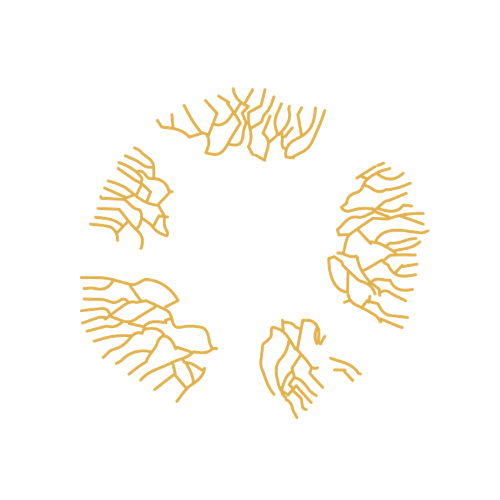 The Bio-Leadership Fellowship
